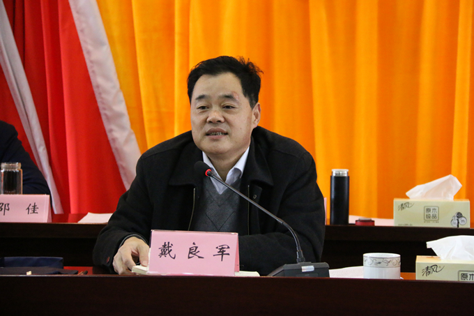 集團(tuán)黨委委員、副總經(jīng)理、總工程師戴良軍發(fā)表講話